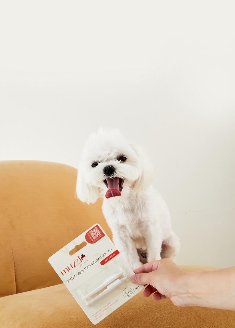 выбирайте экологичные средства для отпугивания клещей российской компании Muzzle 