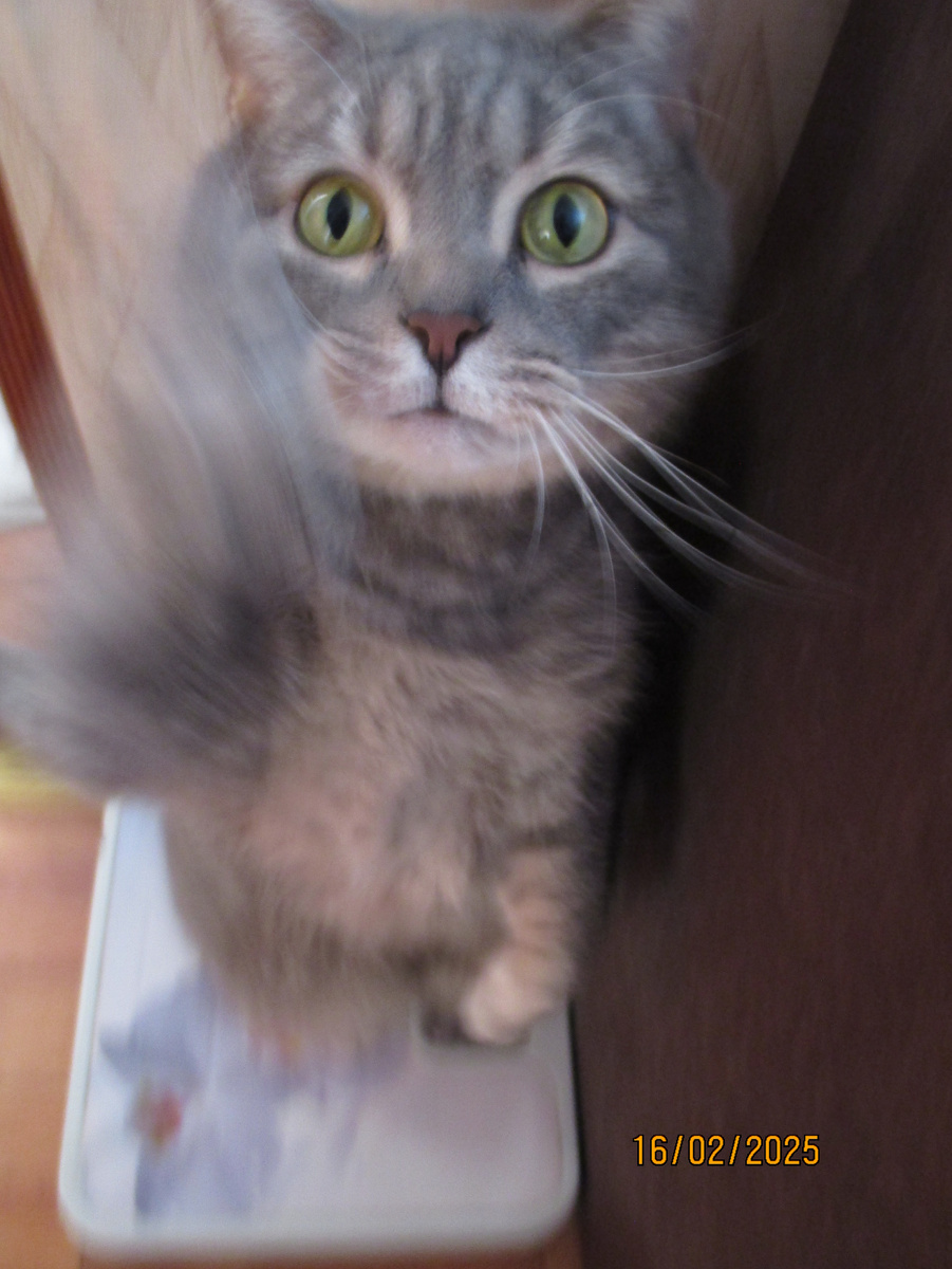 Хочу чтоб  меня издавали