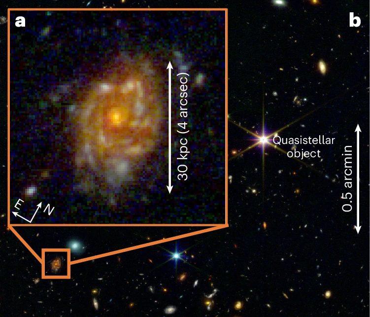 Галактика имеет красный компактный центр и гигантский звездный диск, простирающийся по меньшей мере до 30 кпк в диаметре. Фото: NASA