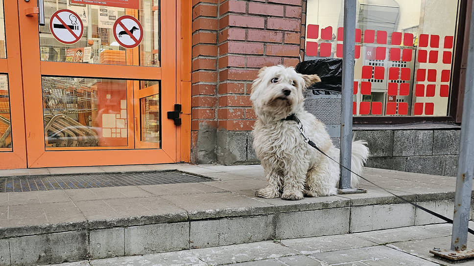 Фото: Елена Вах / Коммерсантъ