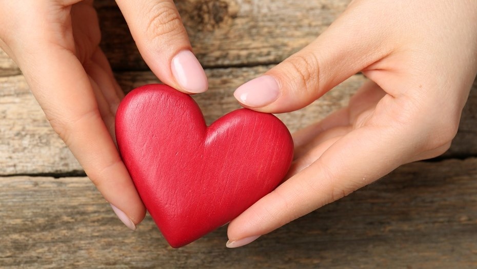    Автор фото: vostock-photo