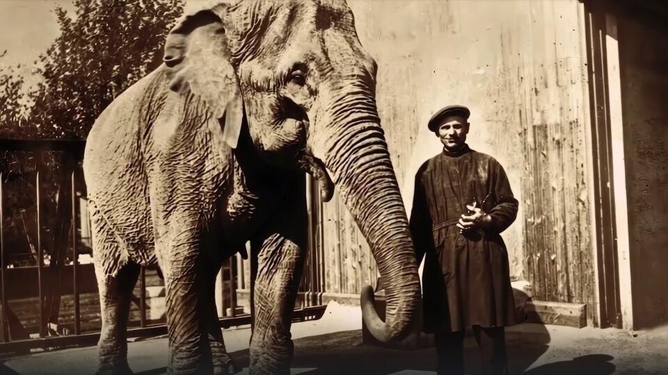 Фото: © Кадр из программы "Неизвестная история", РЕН ТВ