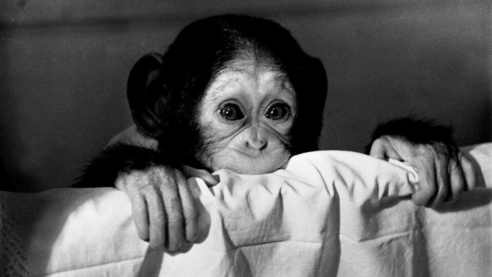 Фото: © Блохин Максим/ТАСС