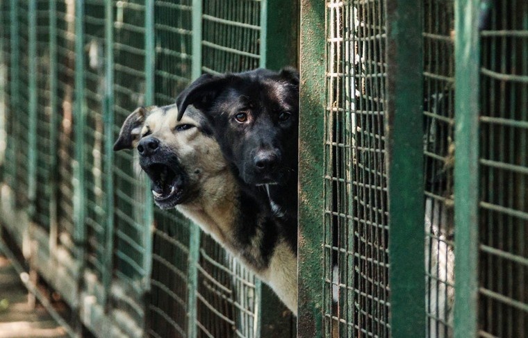    Сергей Лантюхов/NEWS.ru