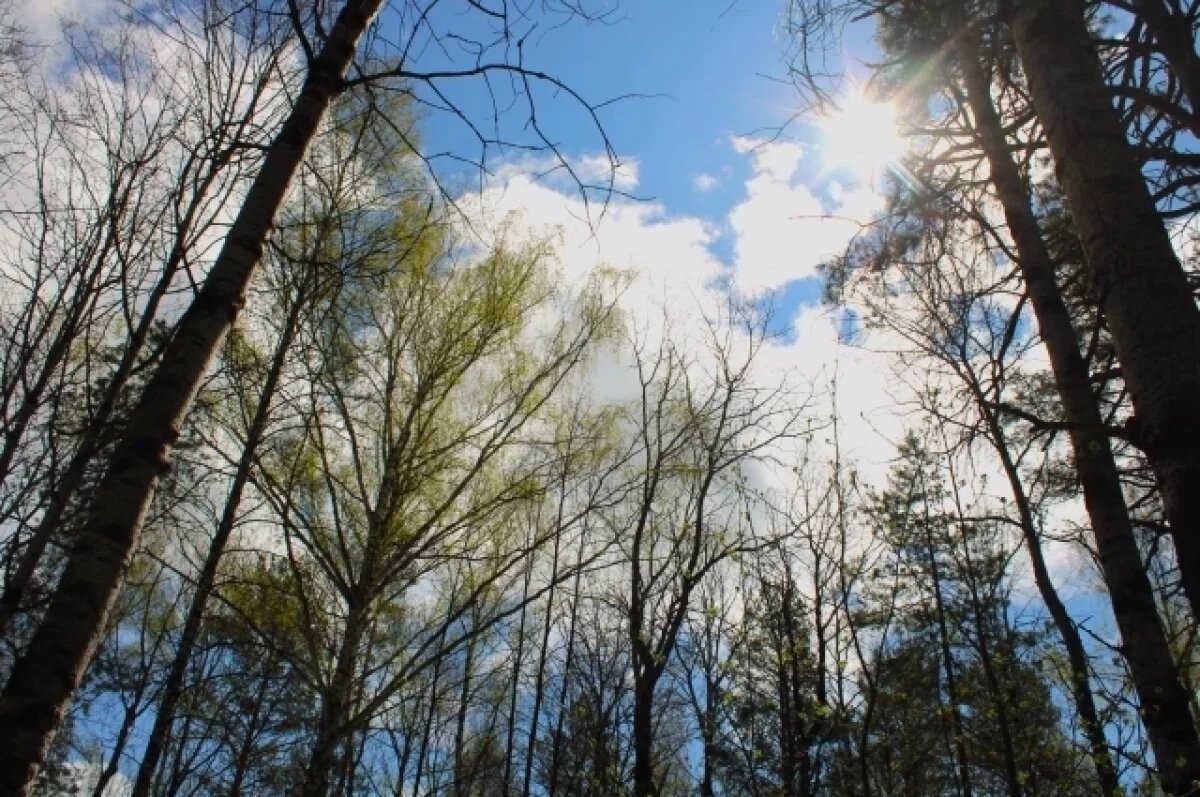    Рязанцев ждет майское тепло в конце марта