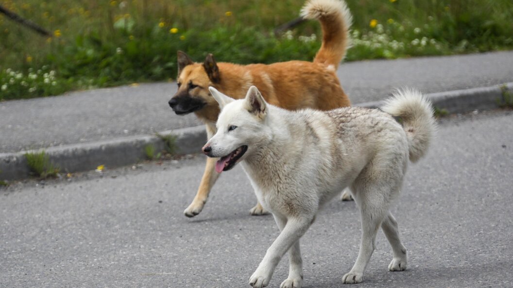    © Pogiba Alexandra/Globallookpress