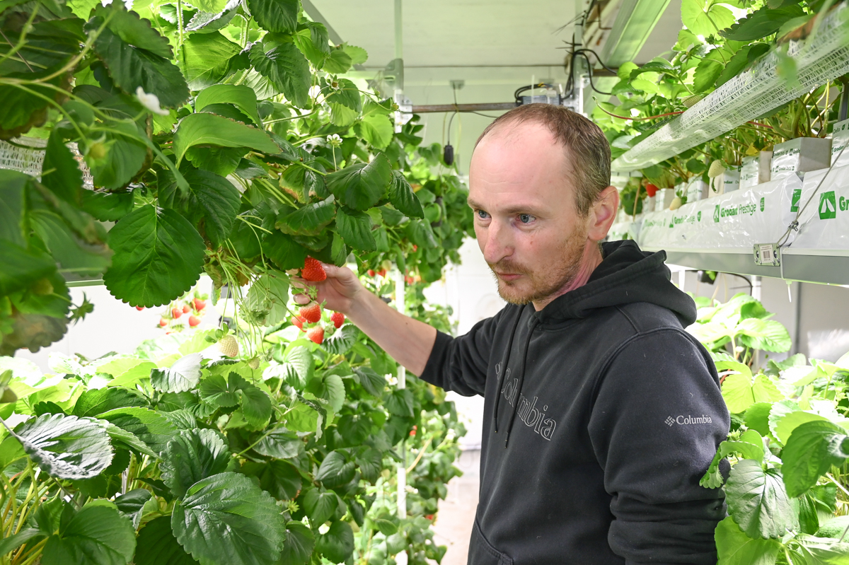 Фото: Алексей Сухушин