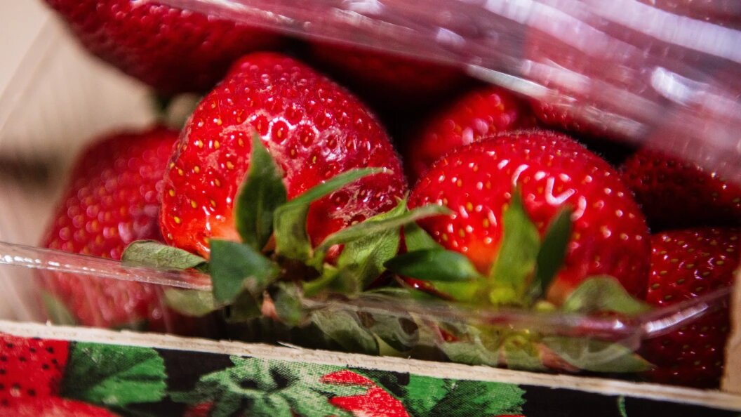    Фото: Ilya Moskovets/URA.RU/Globallookpress