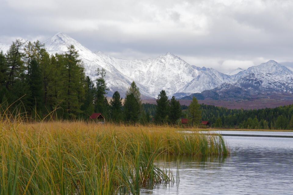    Улаганский перевал. Горный Алтай. Источник: Андрей Сороко / "Толк"