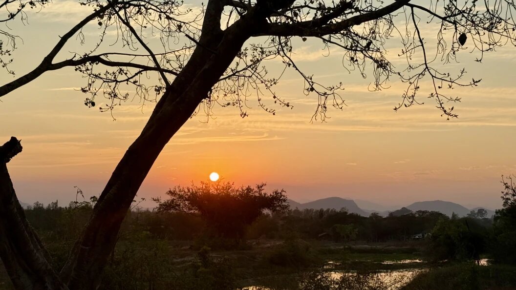    Фото: Carola Frentzen /Globallookpress