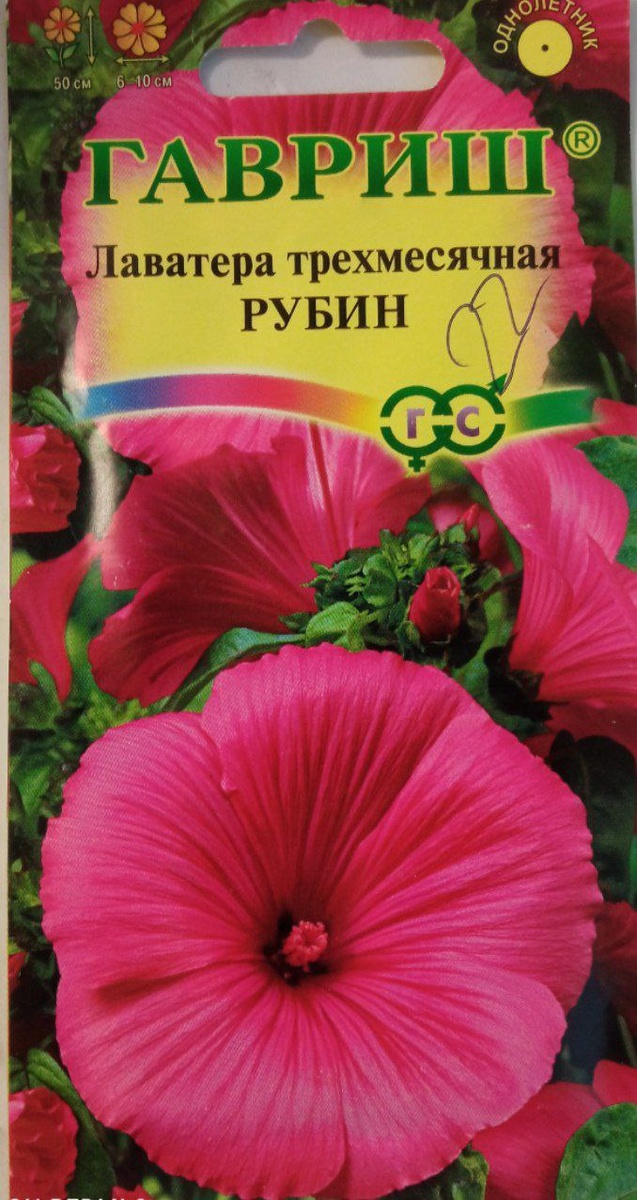 Неприхотливый однолетник. Фото автора.