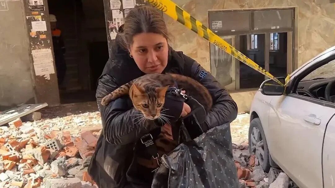    Благодаря спасателем удалось вызволит кота Цезаря из ловушки. Фото: пресс-служба главы Дагестана