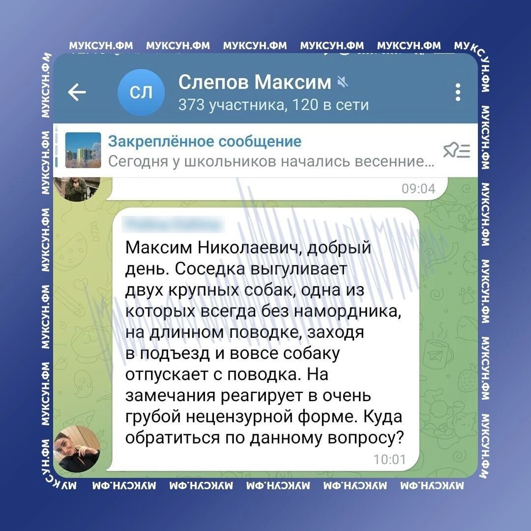     Источник: Тг-канал Максима Слепова