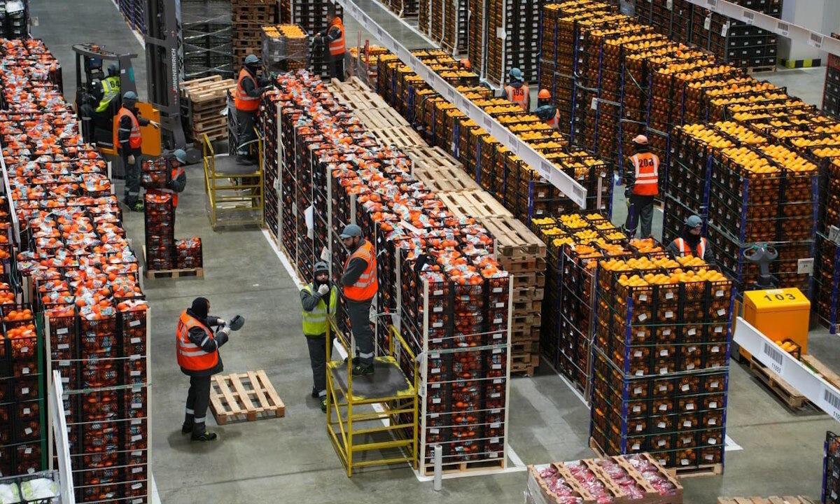    Фото пресс-службы администрации Краснодарского края