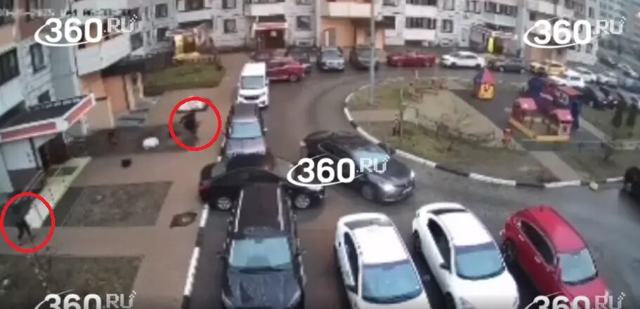    Фото: скриншот видео 360.ru