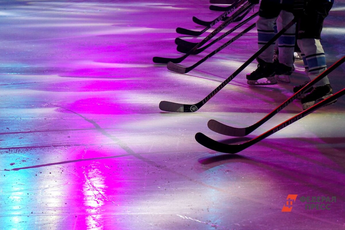 Команды по следж-хоккею создаются во всех регионах страны.  Фото: Фото: ФедералПресс / Дмитрий Барков