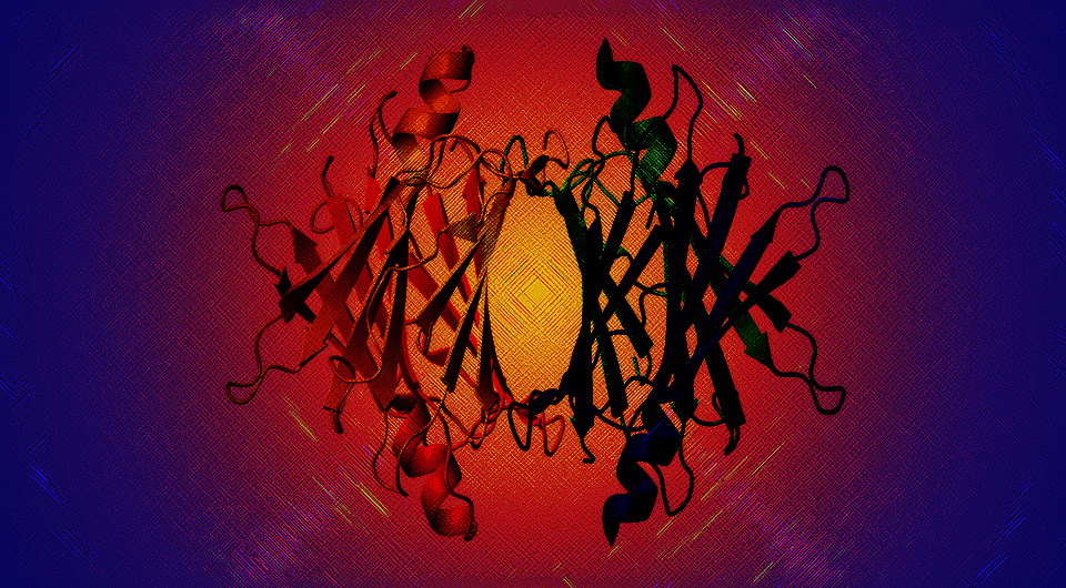   N + 1; Tfoss / Wikimedia Commons / Public Domain