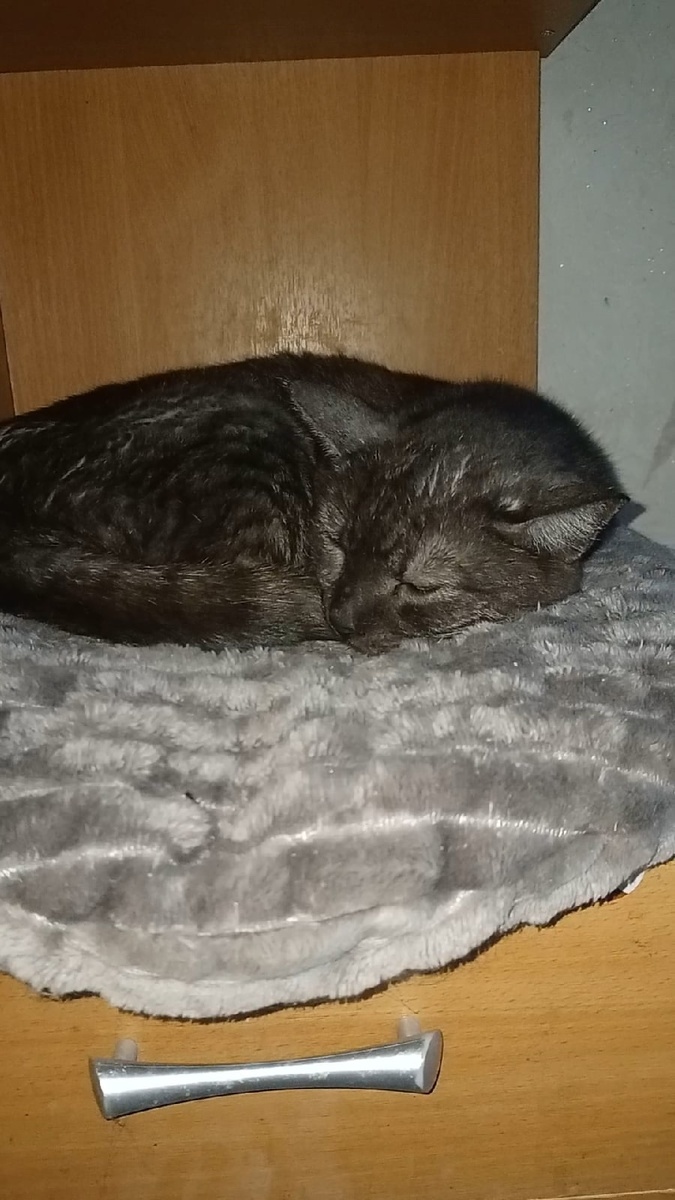 Жорж грустит