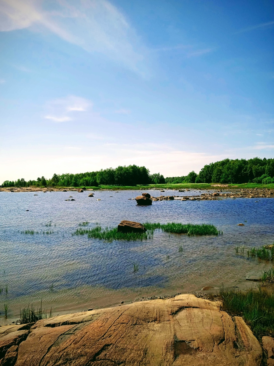 Фото автора.