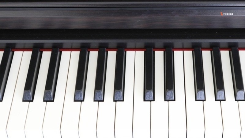      Фото: ИА «Победа26»