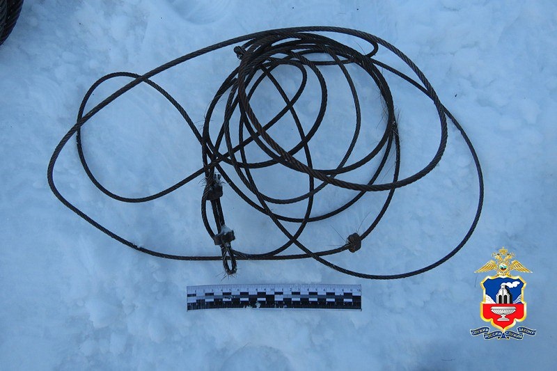 Фото: «МВД Медиа»