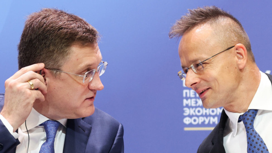    Россия поставила Венгрии рекордные 8,6 млрд куб. м газа в 2024 году ©Петр Ковалев/ТАСС