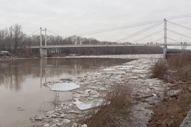    Фото:  АиФ/ Евгения Чернова