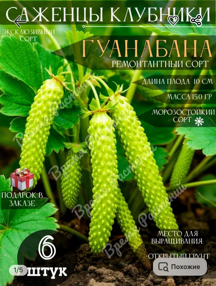 Скриншот с Вайлдберриз. 