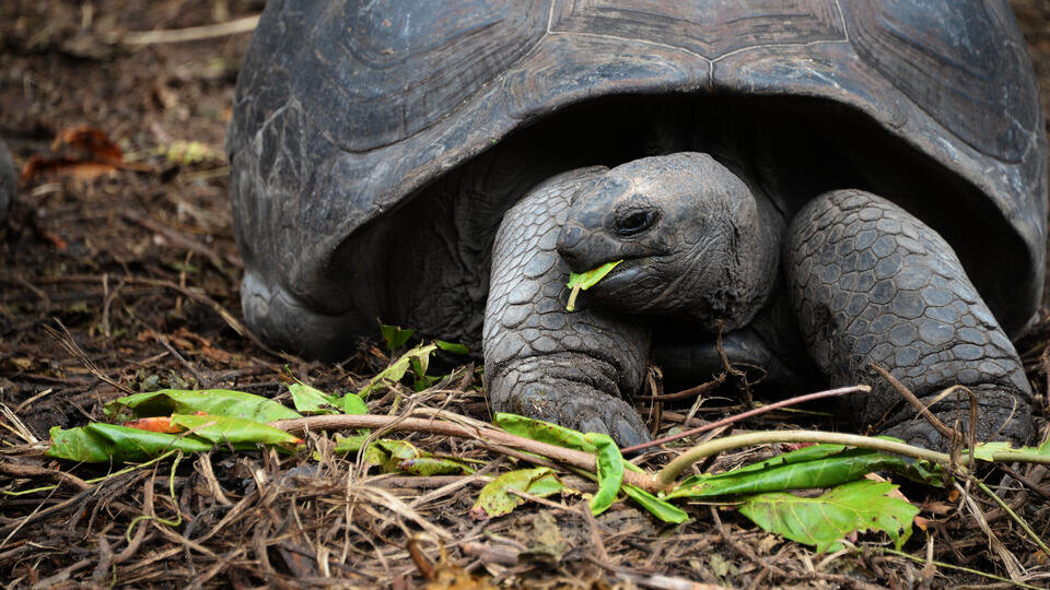 Фото: © РИА Новости/Наталья Селиверстова