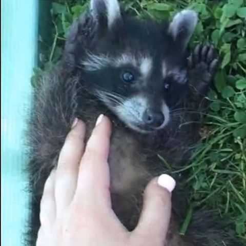 Разве с ними можно расстаться?