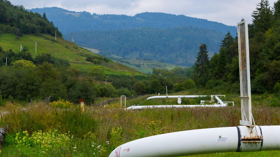 Фото: Владислав Содель / Коммерсантъ