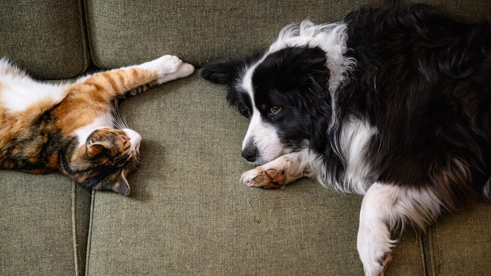 Фото: © dpa/picture-alliance/TASS