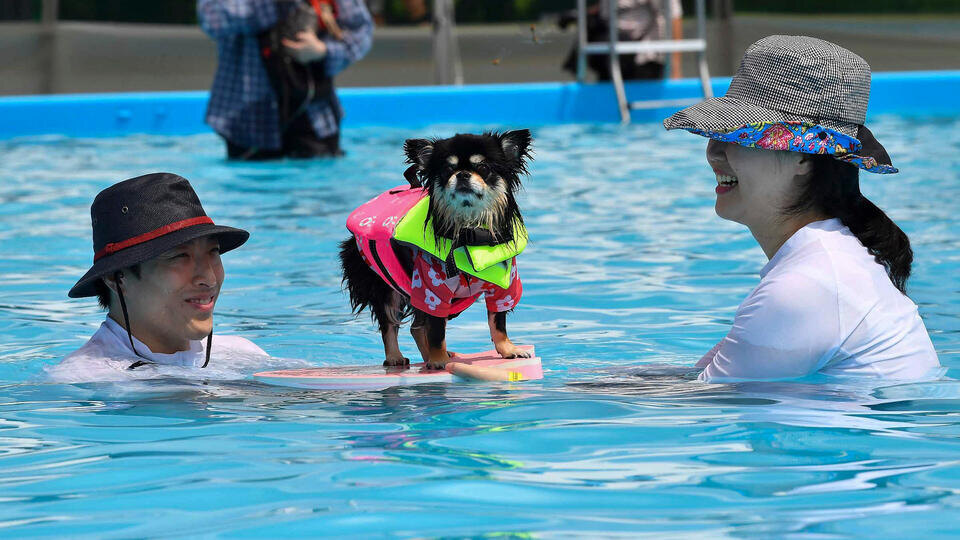 Фото: © Xinhua/ABACA/TASS