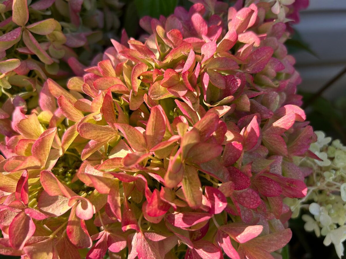 Скайфолл. 20 сентября