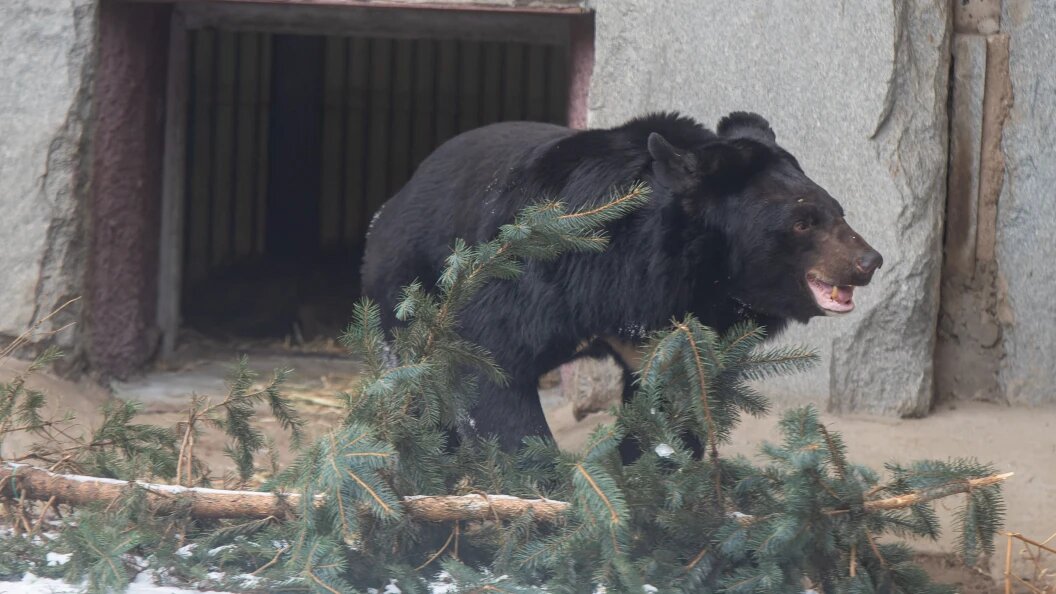    © Komsomolskaya Pravda/Globallookpress