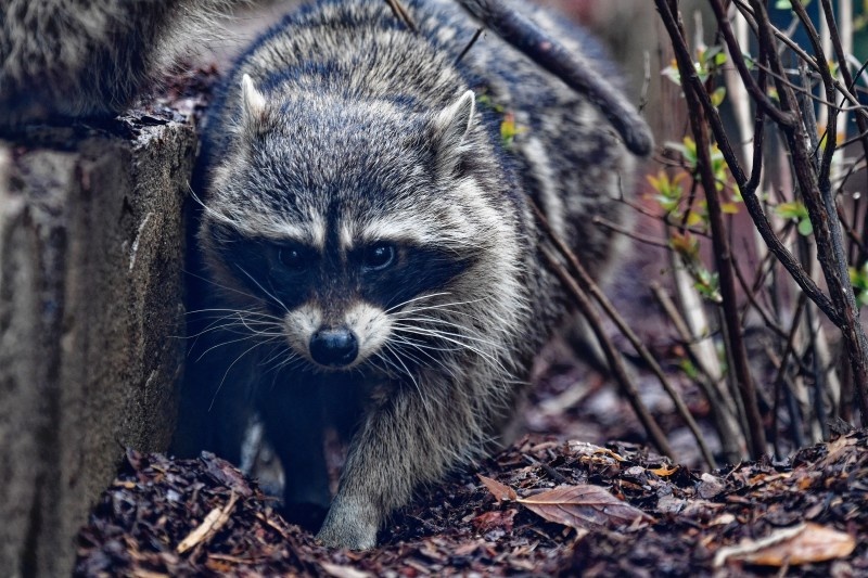    фото: © Komsomolskaya Pravda/globallookpress