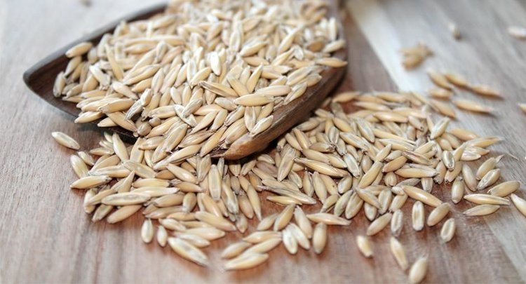    Татарстан открыл экспорт овса в Китай