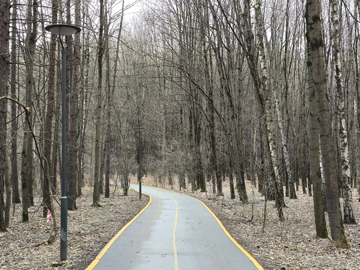 Фото сделано автором без применения искусственного интеллекта