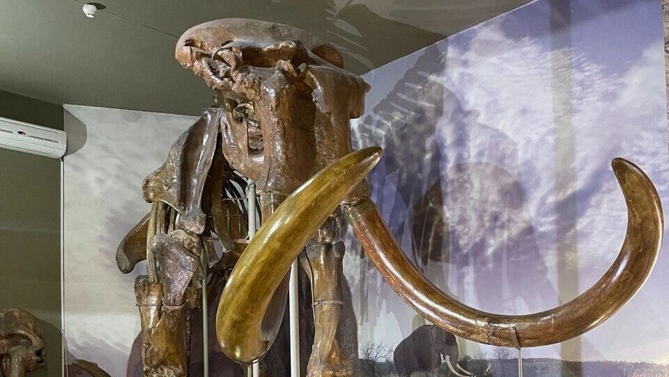     Источник: rostovgazeta.ru