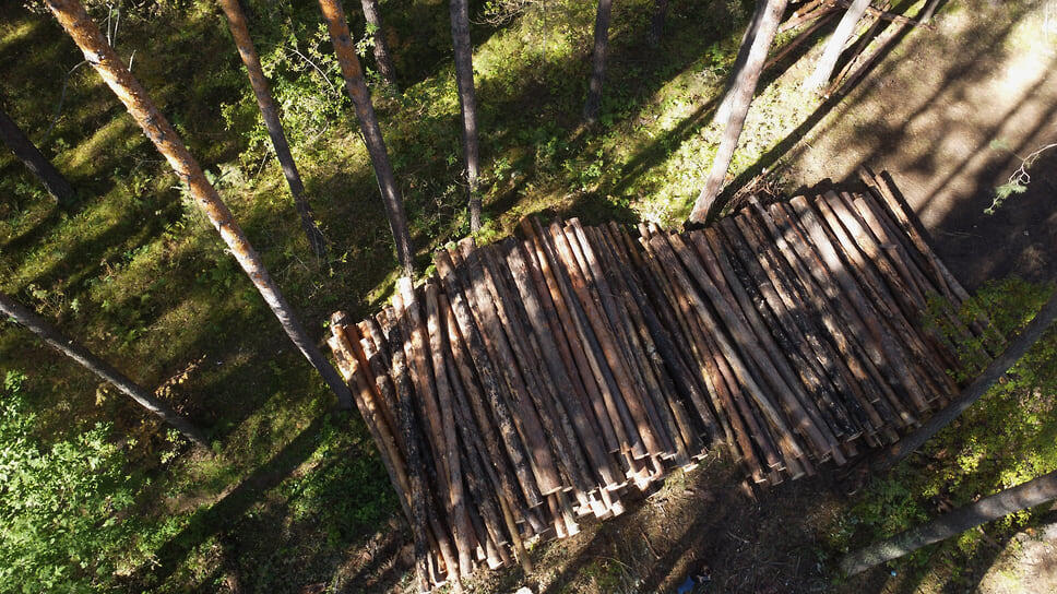 Фото: Влад Некрасов / Коммерсантъ