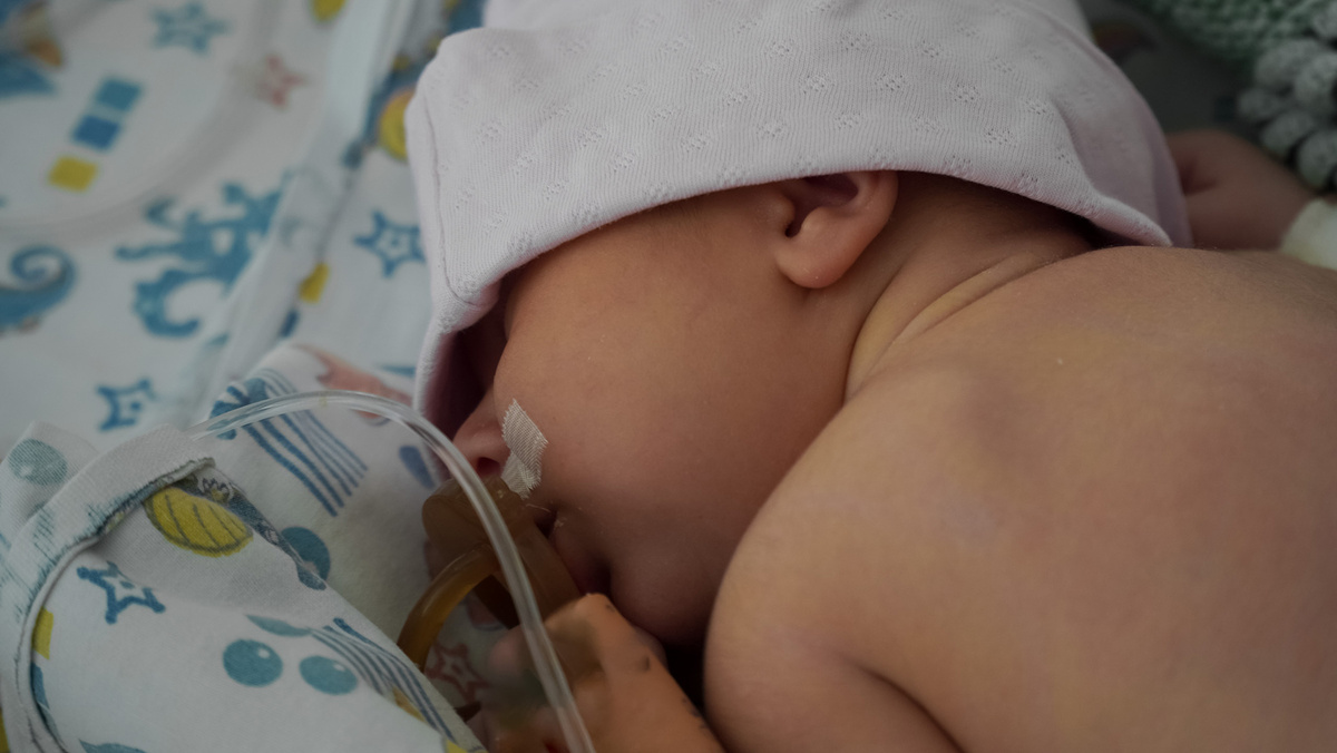    Фото: Андрей Закоморный