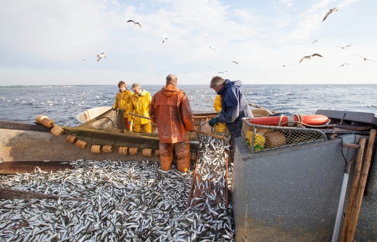    Shutterstock/FOTODOM