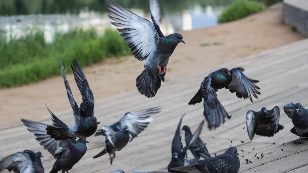    Bulkin Sergey/news.ru/Globallookpress