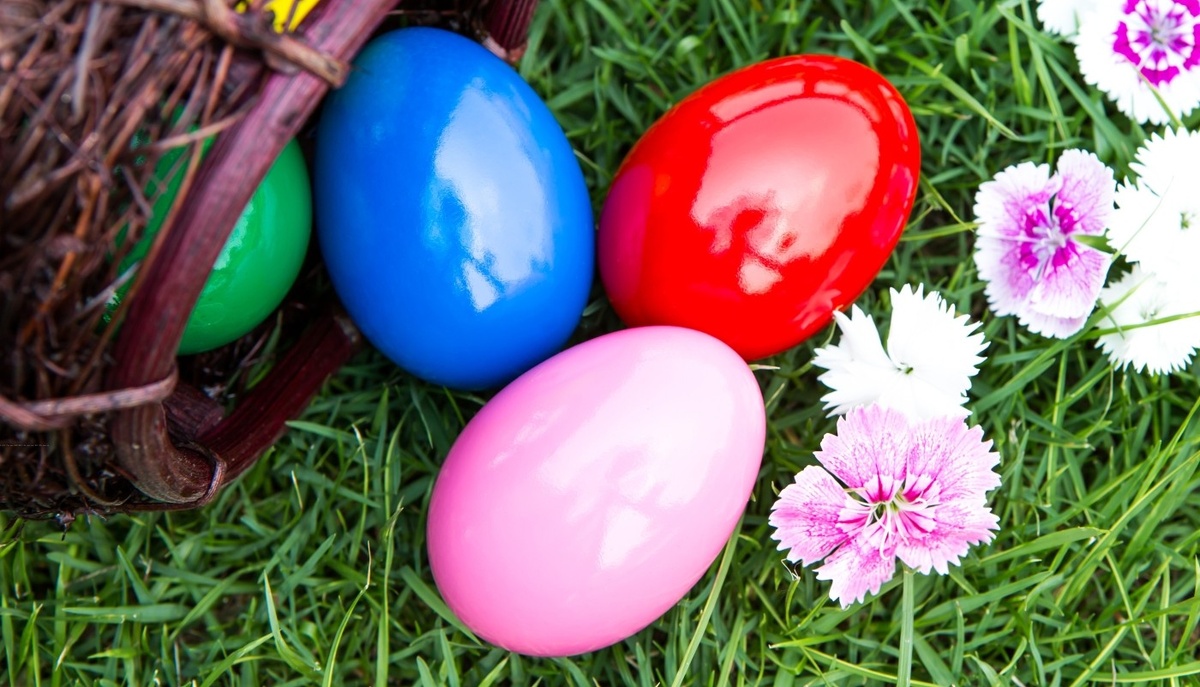    Фото: freepik.com