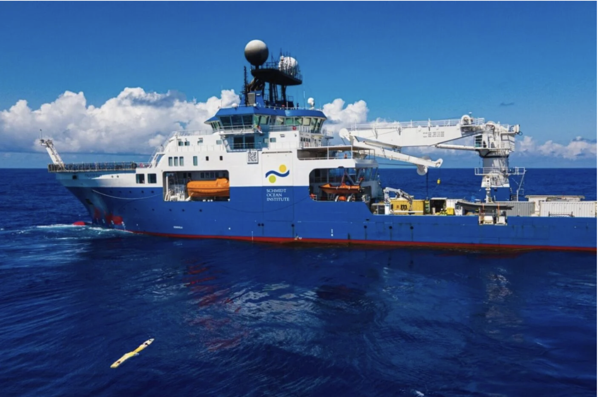 Falkor (too) Источник: https://gizmodo.com/chicago-sized-iceberg-hid-ancient-ecosystem-scientists-reveal-2000579125
