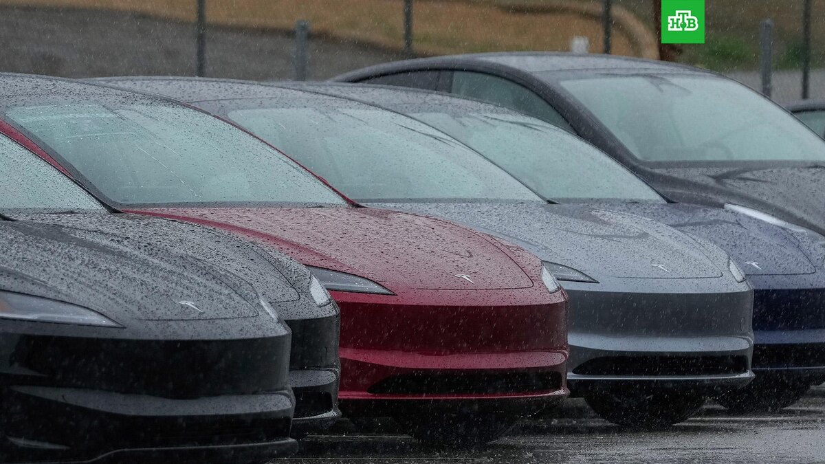    Фото: Associated Press © 2025, Godofredo A. Vasquez