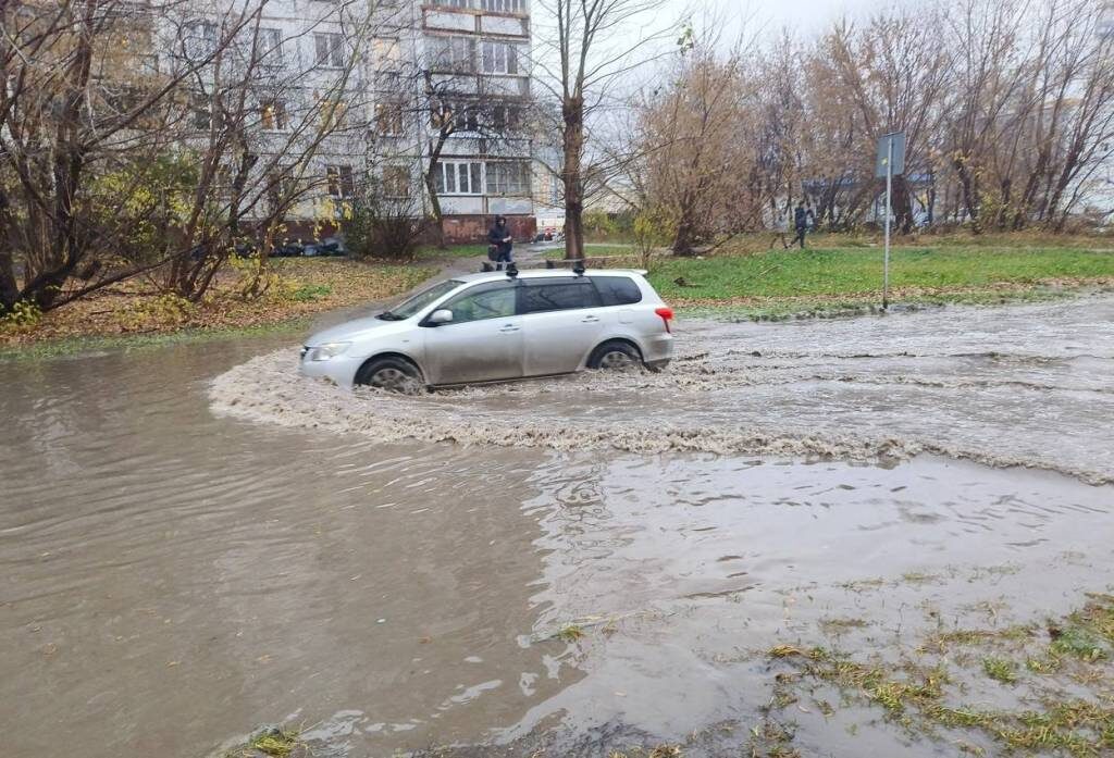    Фото: "Прецедент"