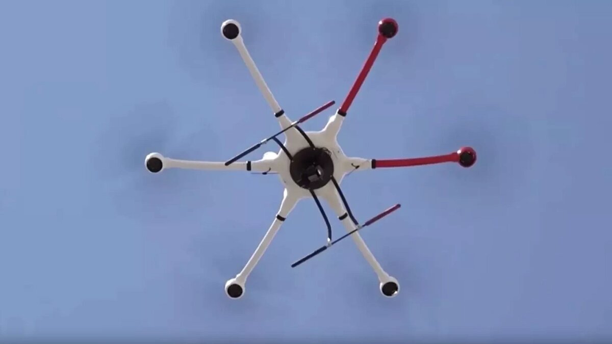    Фото: телеканал «Краснодар»