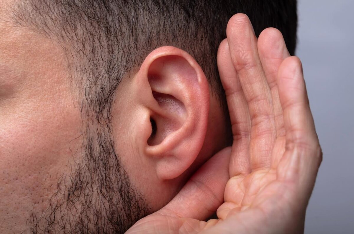    Если у вас есть бугорок Дарвина — вы относитесь к очень редкому числу людей. Источник изображения: earpeace.eu