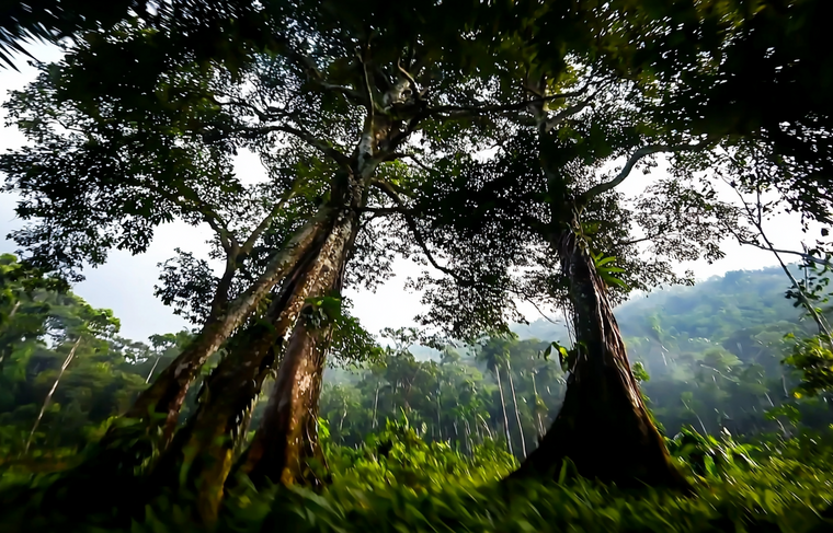    Сгенерировано в Midjourney/NEWS.ru